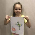стрекоза321.jpg