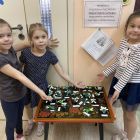 кратпроект88.jpg